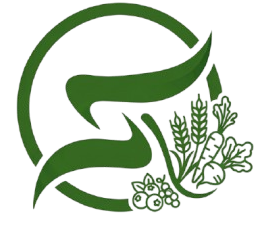 logo removebg preview